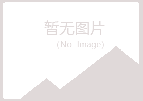 黑山县南松金融有限公司